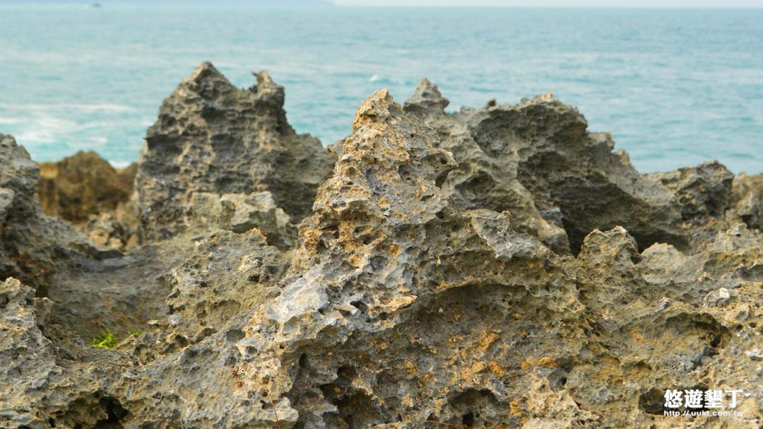 龍坑保護區有許多奇岩怪石非常特別