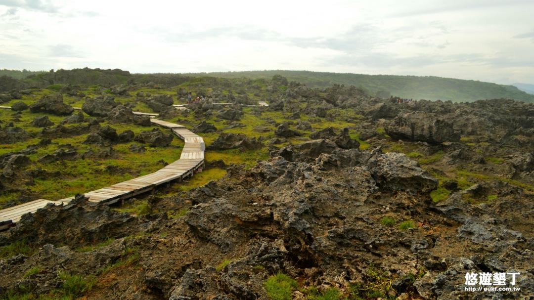 墾管處做了木棧道讓遊客方便走過觀察