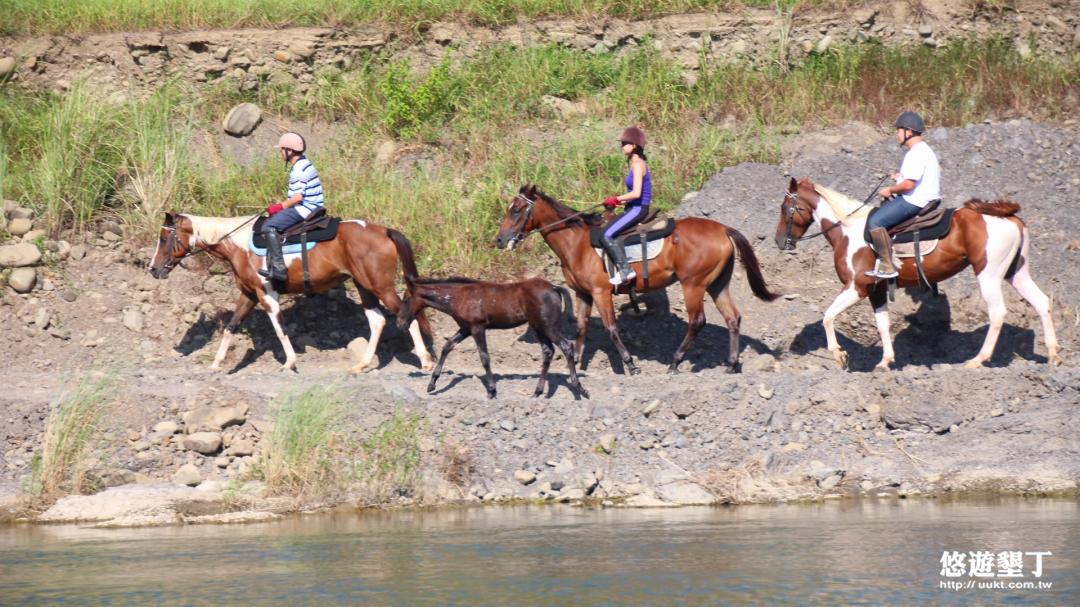 野外騎馬體驗
