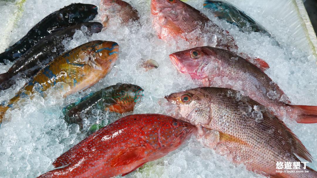 老闆出海釣的魚貨