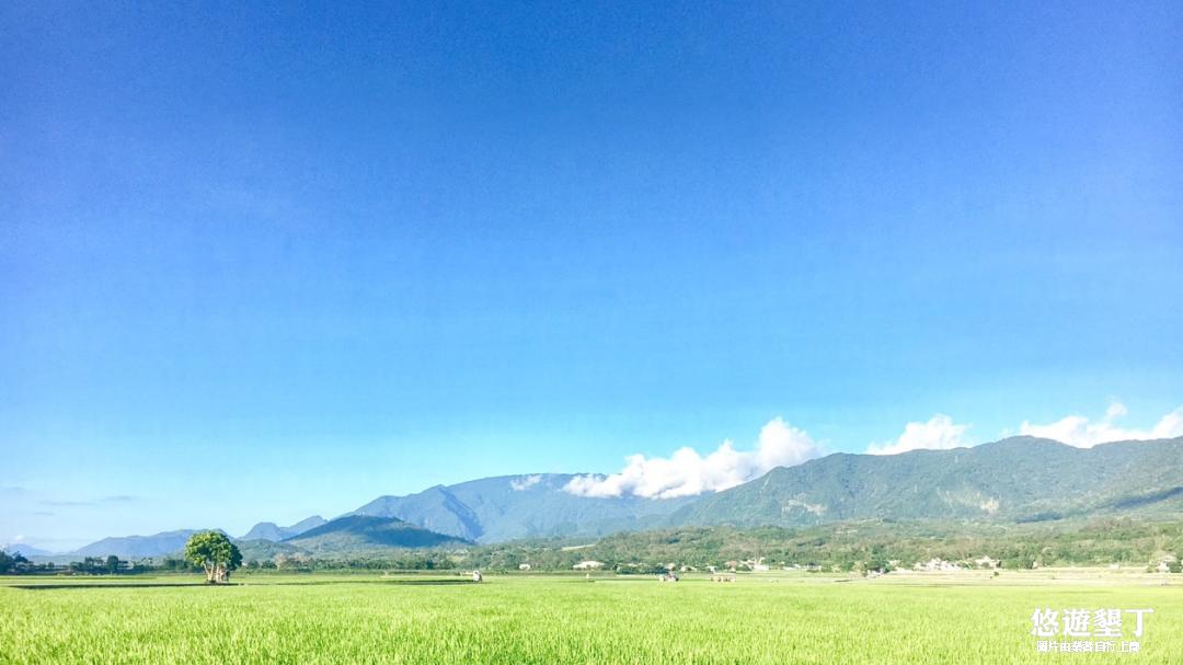 旅遊景點-台東池上伯朗大道
