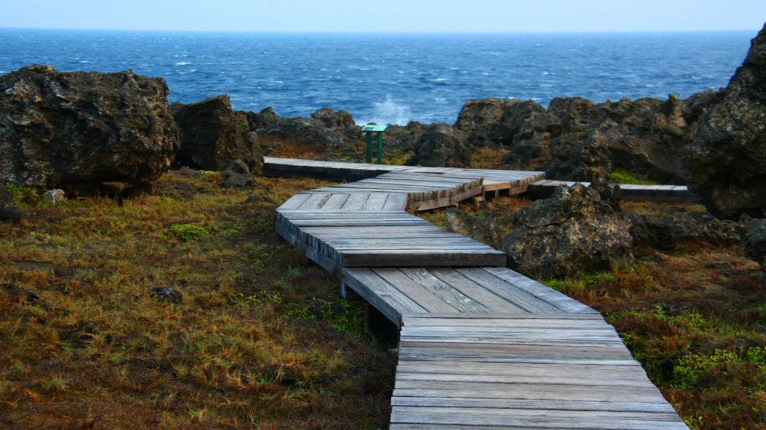 龍坑 自然生態保護區 步道