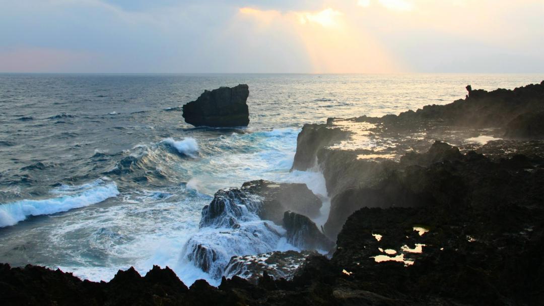 龍坑 自然生態保護區