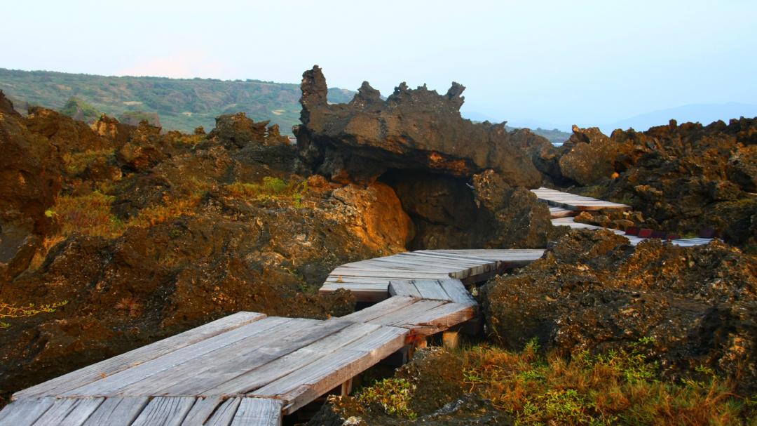 龍坑 自然生態保護區 步道