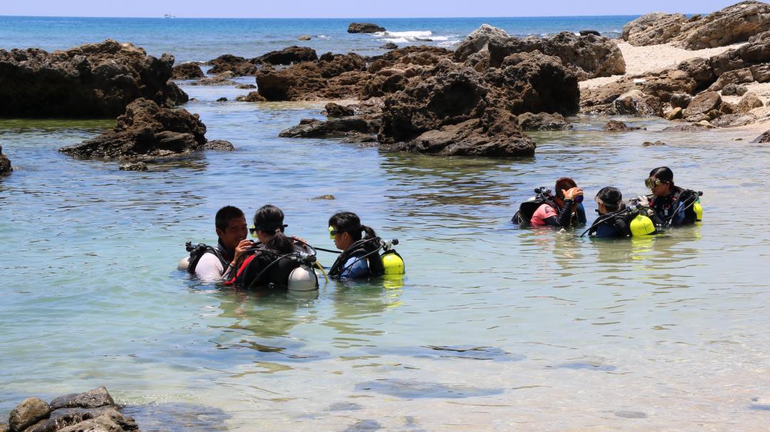 後壁湖保育區 潛水活動