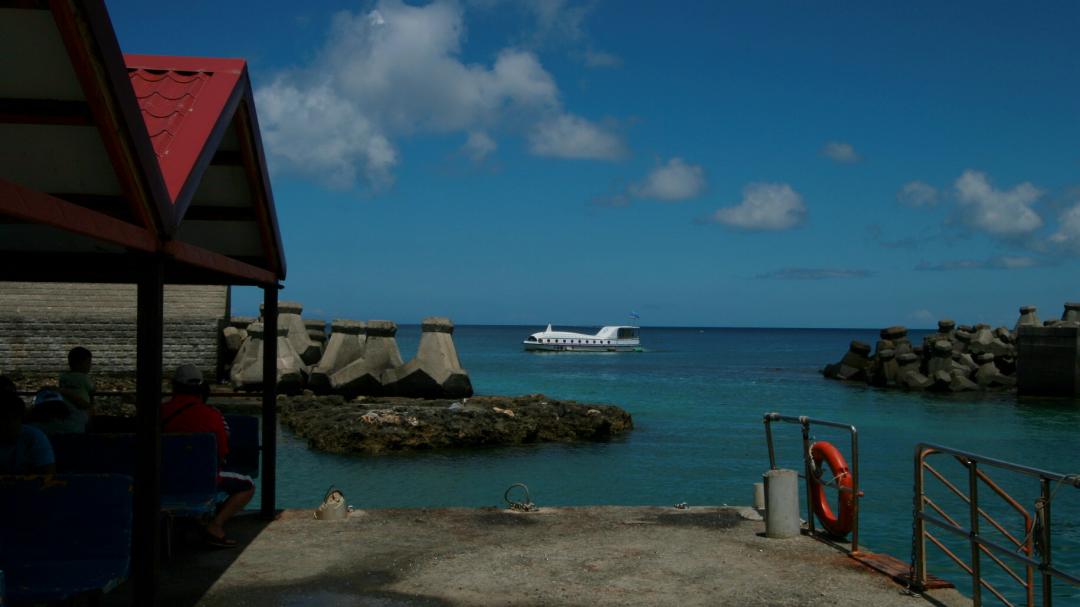 紅柴坑漁港的小海豚半潛艇