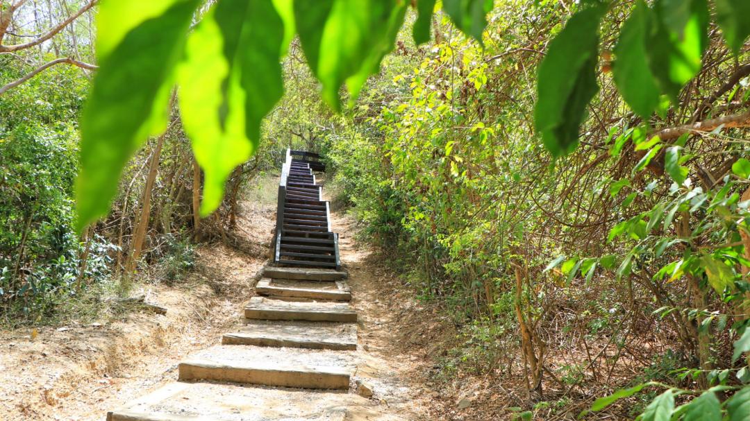 步道階梯