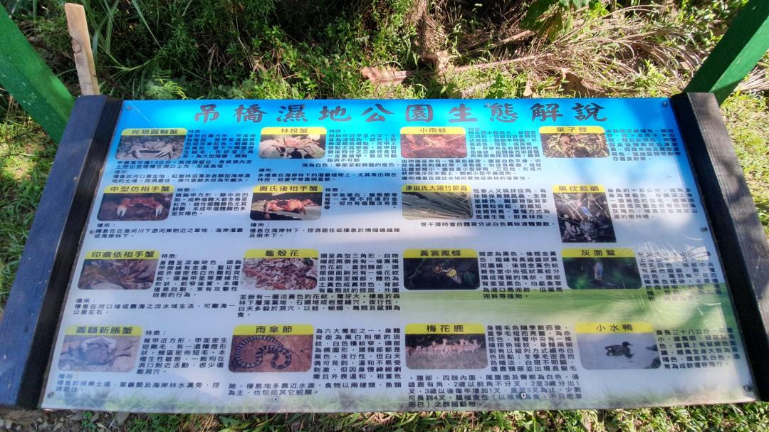吊橋濕地公園生態解說