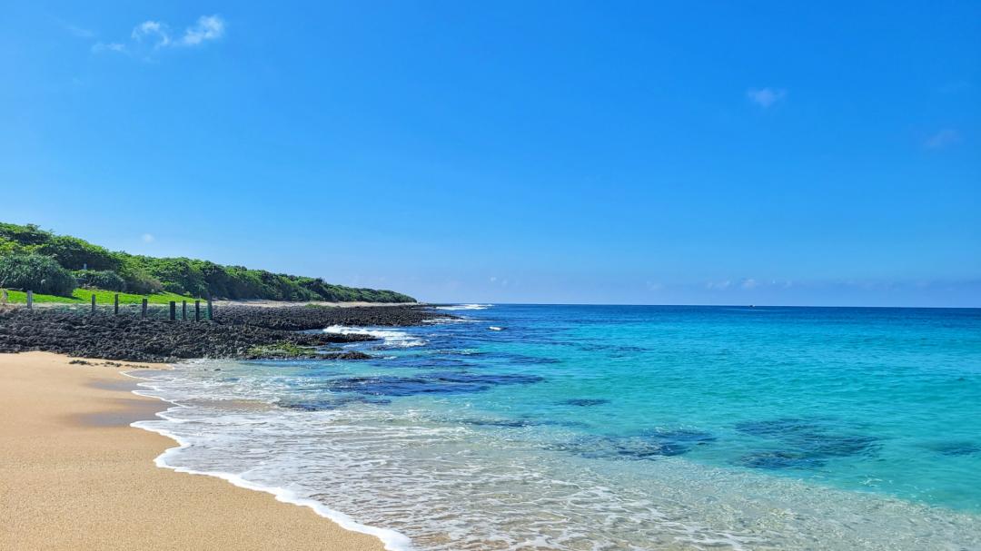 砂島-貝殼砂海灘